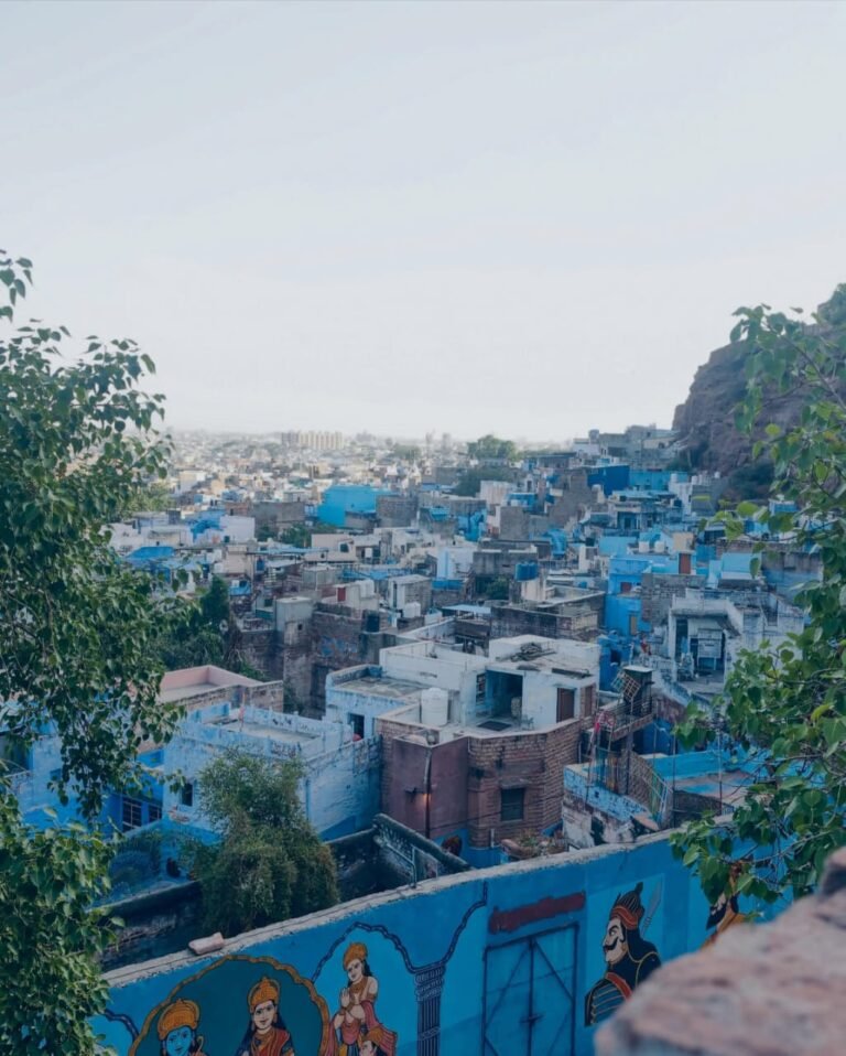 jodhpur blue city